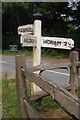 Old Direction Sign - Signpost by Back Lane, Heathfield and Waldron parish