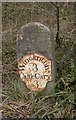 Old Milestone by the A371, Thistle Furlong Copse, Bratton Seymour parish