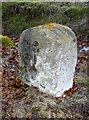 Old Milestone by the A342, Andover Road, Fyfield parish