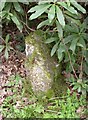 Old Milestone by Crow Hill, Ringwood parish