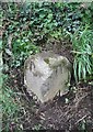 Old Milestone by the former B3210, near Blue Post Garage, Harberton parish