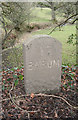 Old Milestone by the  A377,  north of Leigh Cross, Chulmleigh parish