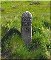 Old Milestone by the A3071, west of Higher Botrea, St Just parish