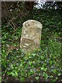 SU4223 : Old Milestone by the B3043, near Red House, Ampfield parish by K Lawrence
