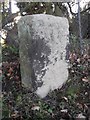 Old Milestone by Breary Lane East, Bramhope parish