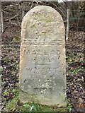 SP4908 : Old Boundary Marker in Port Meadow, Oxford parish by Milestone Society