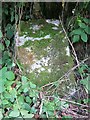 Old Milestone south of Shawford Bridge, Glencam parish