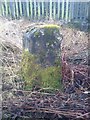 Old Boundary Marker by Back Lane, Scosthrop parish