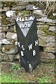 Old Boundary Marker by the A689, Stanhope parish