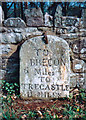 Old Milestone by the A40, Abercamlais