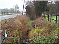 Ditch beside A1065 at Mundford