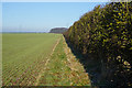 SE9537 : Farmland north of Walkington Heads by Ian S