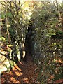 Cave entrance, Loggerheads Country Park