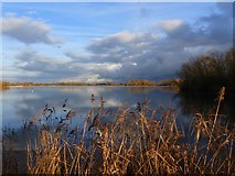 TL3469 : Evening view across Ferry Lagoon, Fen Drayton Lakes Nature Reserve by Ruth Sharville