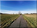 Path South East of Kempton Park