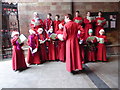 SO8554 : Singers, Worcester Cathedral by Chris Allen