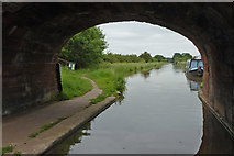 SJ6735 : Shropshire Union Canal north of Market Drayton, Shropshire by Roger  D Kidd