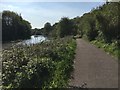 Kennet & Avon Canal Walk