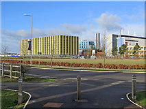 TL4654 : On Cambridge Biomedical Campus by John Sutton