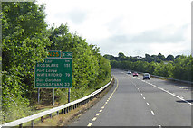 X0776 : N25/E30, Youghal Bypass by David Dixon