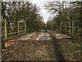 Old bridge deck near Coxhoe