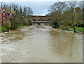 River Mole in flood, Leatherhead