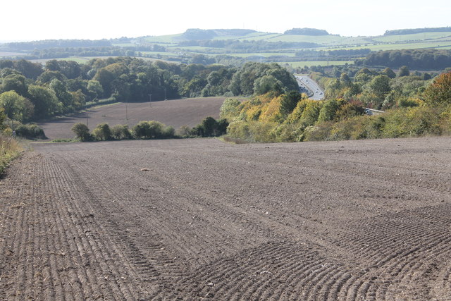 Alexander's Belt Fields