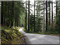 Minor road through Ganllwyd in Coed-y-brenin