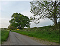 Country road near Harton