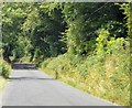 S8655 : Rural road, County Carlow by N Chadwick