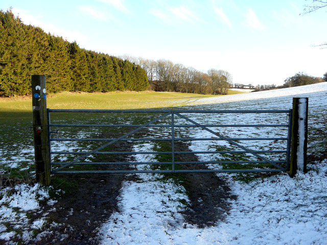 Gate between fields