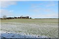 Arable field at Highthorn