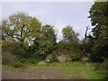 Limestone quarry near Titley