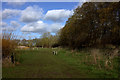 Path leading northwards from Doctors Lane