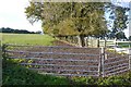 Grassland, Penrhos