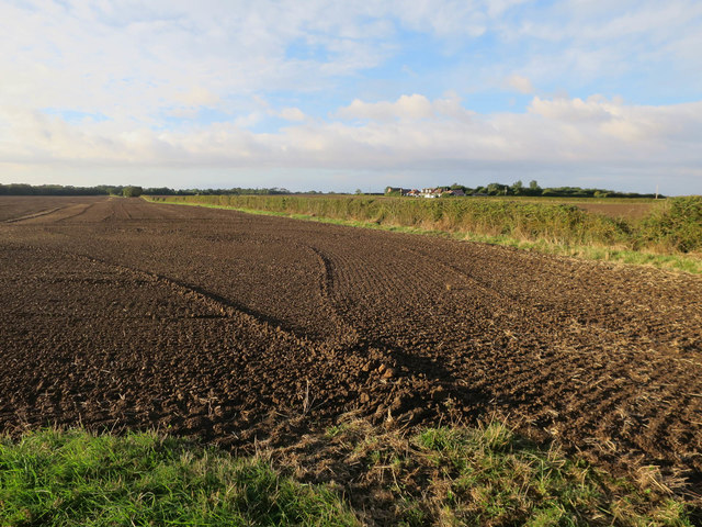 Field near Nevills Bridge
