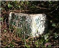 Old Milestone by the A30, Great Wurs Copse, Fovant parish