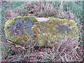 Old Boundary Marker north of Lower Kinnerton, Dodleston parish