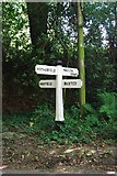 TQ5324 : Old Direction Sign - Signpost by Waghorns Lane, Hadlow Down parish by Milestone Society