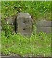 Old Milestone by the A48, north of Blakeney, Awre parish