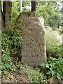 ST5409 : Old Boundary Marker by Yeovil Road, Halstock parish by M Faherty
