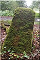 Old Boundary Marker on Lympstone Common, Woodbury parish