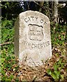 Old Boundary Marker by the B3404, Alresford Road, Winchester parish