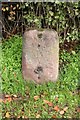 Old Milestone by the A491, Hagley Road, Old Swinford, Stourbridge