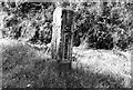 Old Milestone by the A35, Burrowshot Cross, Axminster parish