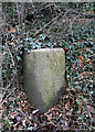 Old Milestone by the A377, Sharphay, Down St Mary parish