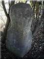 Old Milestone by the A131, east of Liberty Hall, Little Waltham parish