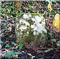 Old Boundary Marker on Huddinknoll Hill, Harescombe Parish