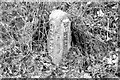 Old Milestone  by the A358, Weycroft Manor, Axminster parish