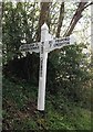 Old Direction Sign - Signpost by Teignholt Cross, Hittisleigh parish